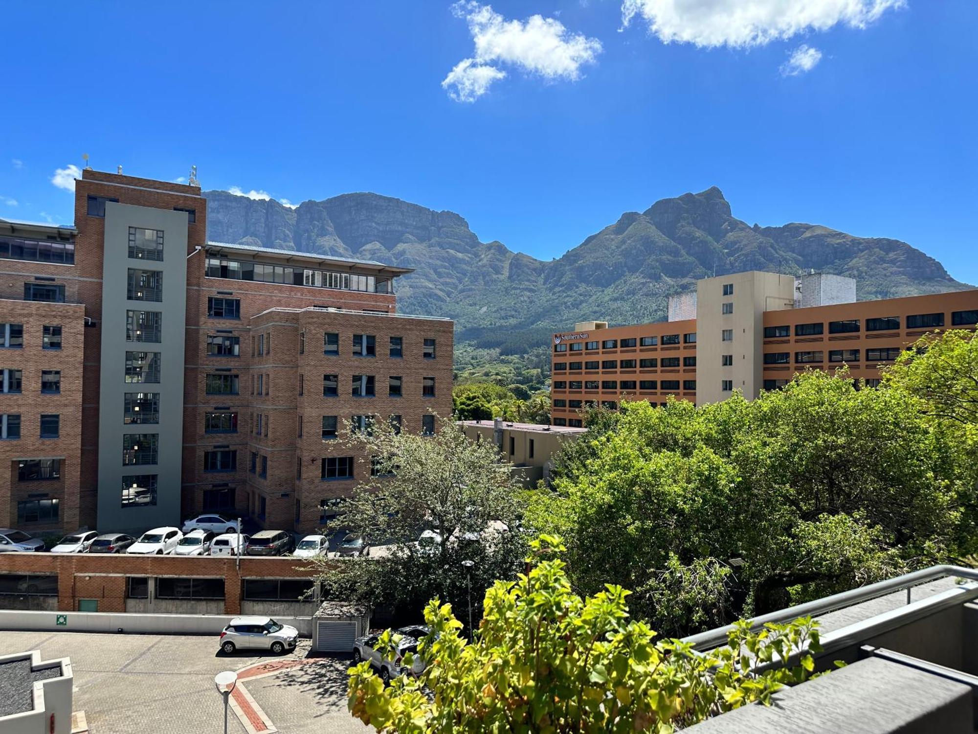 קייפטאון Newlands Peak Apartments מראה חיצוני תמונה