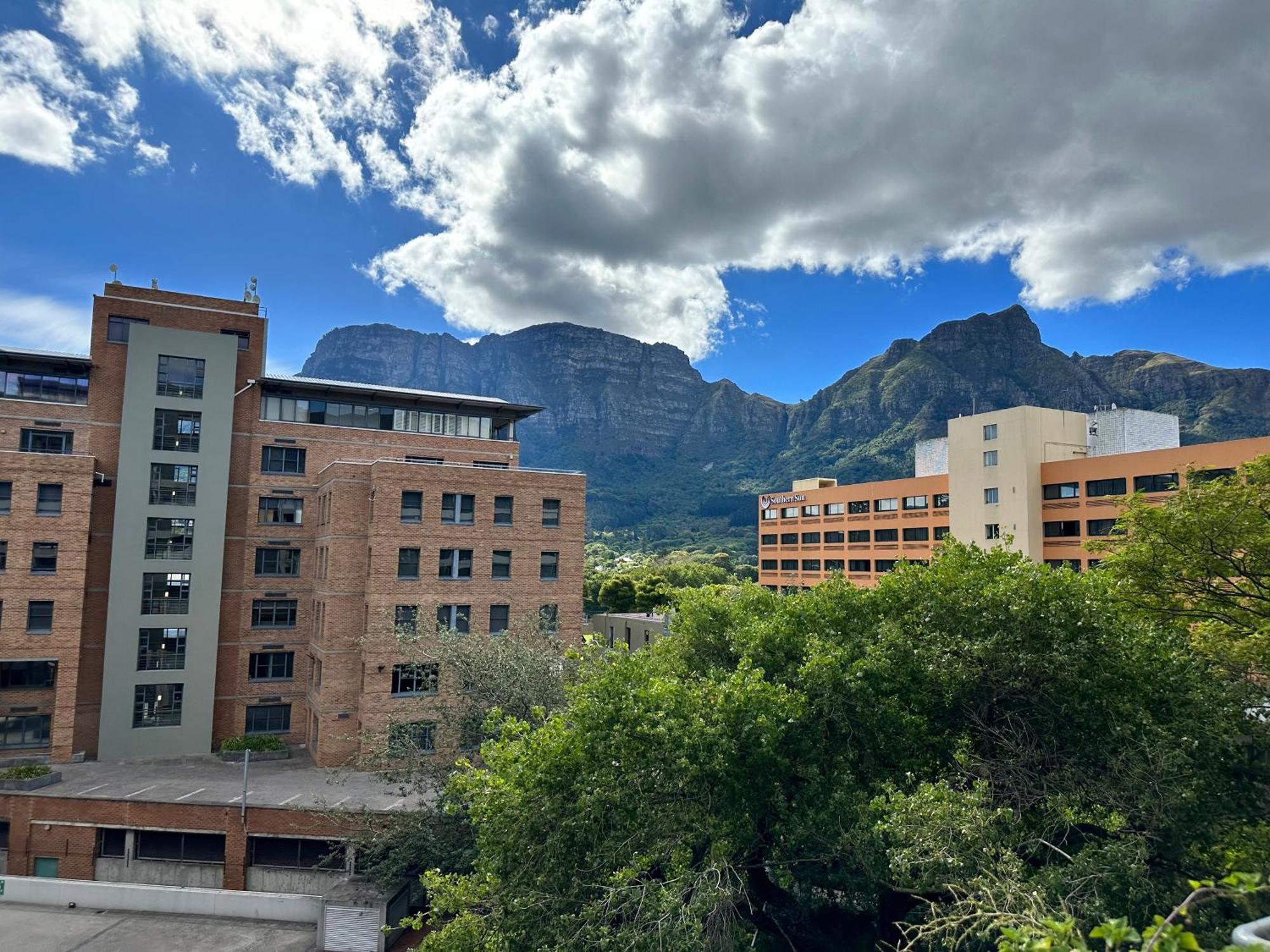 קייפטאון Newlands Peak Apartments מראה חיצוני תמונה